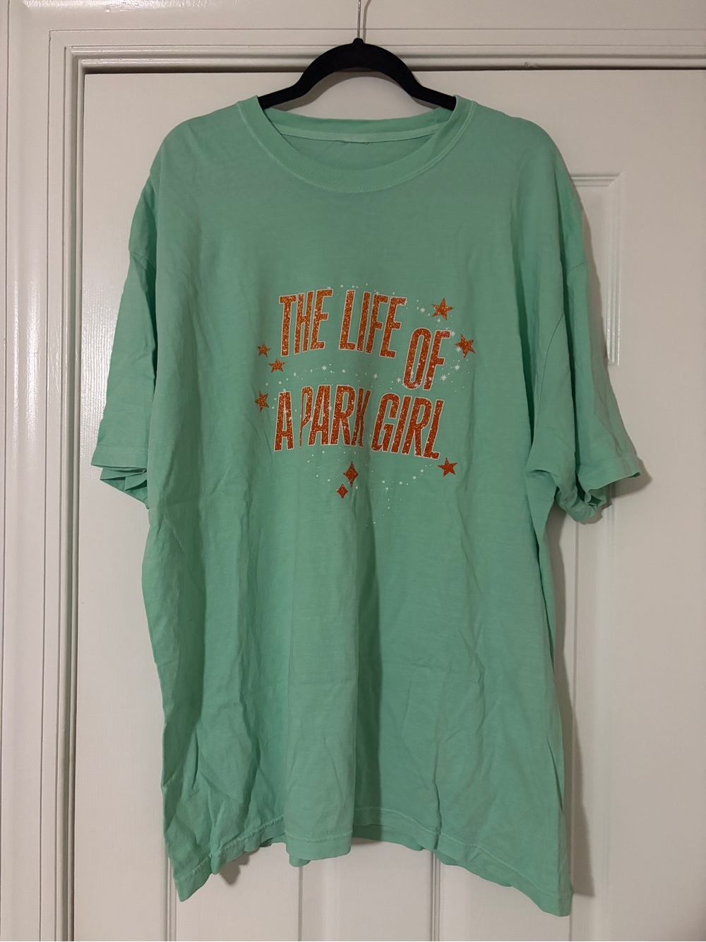 Mint Green Lost Bros Disney Graphic Tee - "The Life of a Park Girl"